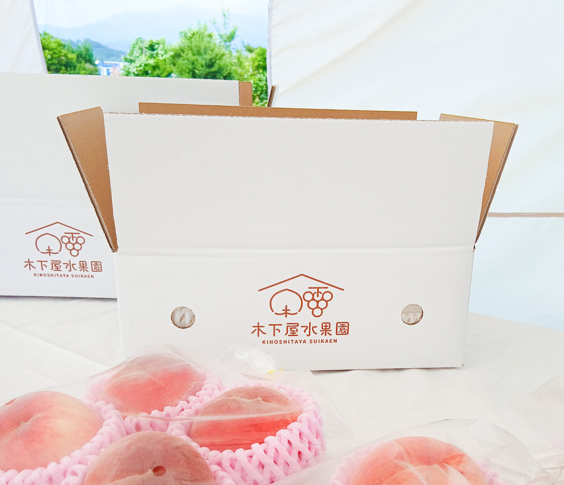 贈答用段ボール